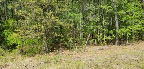  in Ruffin SC 0 Belton Lane.jpg