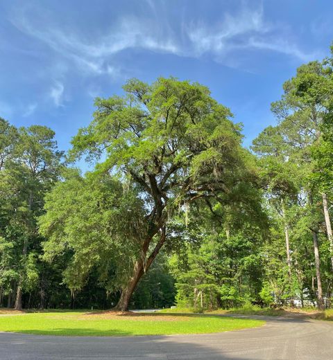  in Ravenel SC Lot 8 Buttonbush Drive.jpg