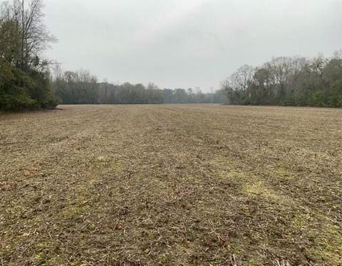  in Bowman SC 0-D Shady Grove Road.jpg