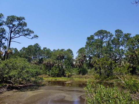  in Kiawah Island SC 53 Blue Heron Pond Road.jpg