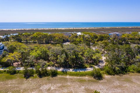  in Edisto Beach SC 24 Moon Fever Court.jpg