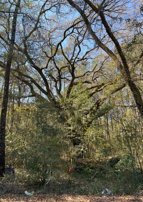  in Adams Run SC Lot #2 Old Military Road.jpg