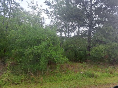  in Santee SC 01 Bass/Bonner Drive.jpg