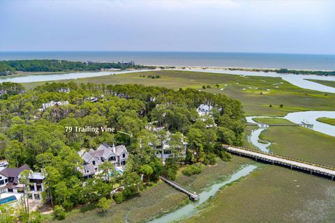 Single Family Residence in Kiawah Island SC 79 Trailing Vine Way 14.jpg