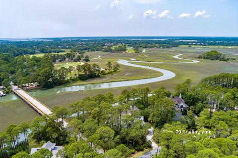 Single Family Residence in Kiawah Island SC 79 Trailing Vine Way 108.jpg