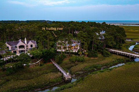 Single Family Residence in Kiawah Island SC 79 Trailing Vine Way 2.jpg
