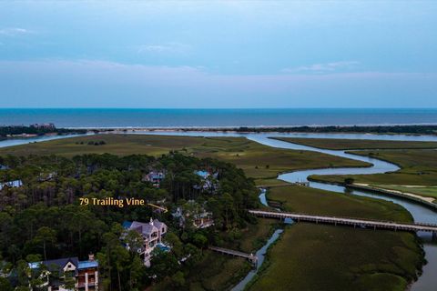 Single Family Residence in Kiawah Island SC 79 Trailing Vine Way.jpg