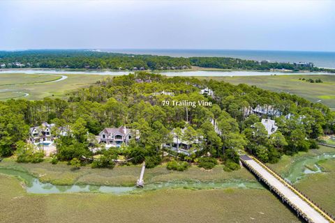 Single Family Residence in Kiawah Island SC 79 Trailing Vine Way 111.jpg