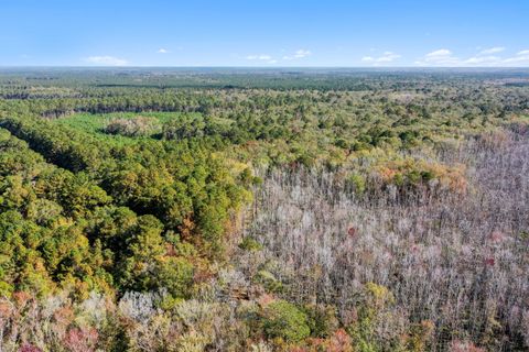  in Adams Run SC 0 Spring Grove Road.jpg