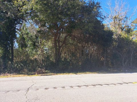  in Santee SC 01 Bass Drive.jpg