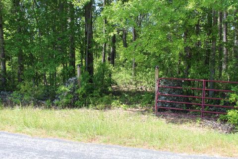  in Smoaks SC 2411 Drain Road.jpg