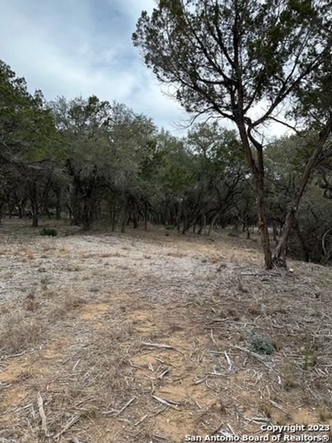  in Mico TX LOT 27 Fm 1283 25.jpg