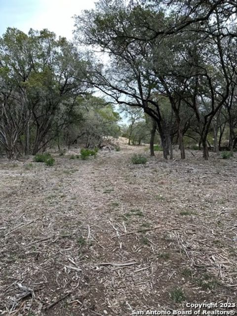  in Mico TX LOT 27 Fm 1283 29.jpg