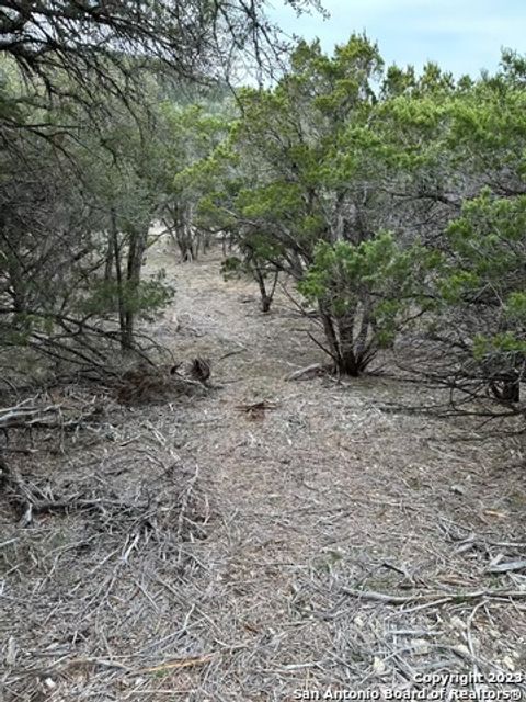 in Mico TX LOT 27 Fm 1283 13.jpg