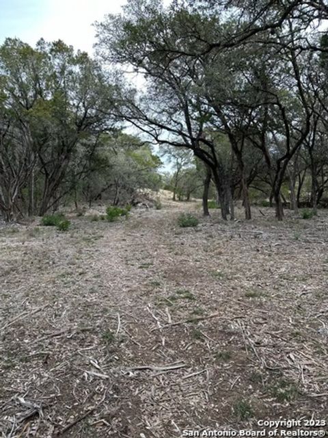  in Mico TX LOT 27 Fm 1283 31.jpg