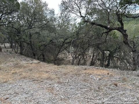  in Mico TX LOT 27 Fm 1283 28.jpg