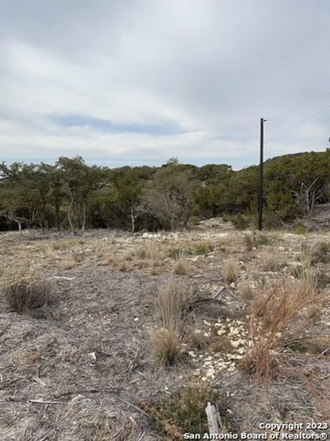 in Mico TX LOT 27 Fm 1283 11.jpg
