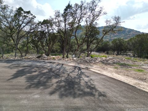  in Mico TX LOT 27 Fm 1283 38.jpg