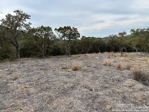  in Mico TX LOT 27 Fm 1283 9.jpg