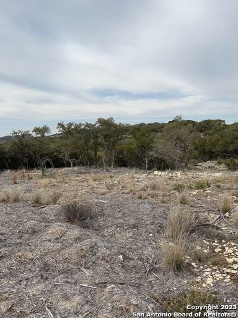  in Mico TX LOT 27 Fm 1283 8.jpg