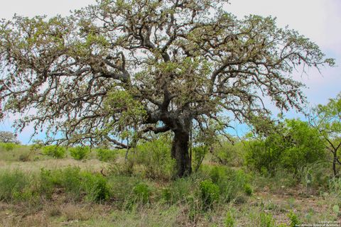  in Hondo TX 0000 County Road 341 7.jpg