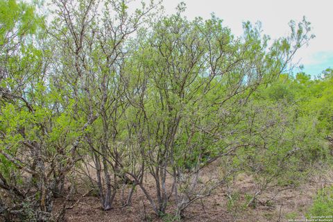  in Hondo TX 0000 County Road 341 12.jpg