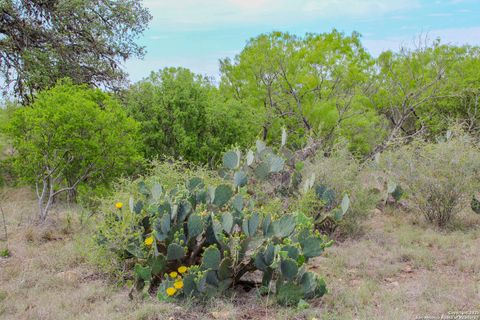  in Hondo TX 0000 County Road 341 8.jpg
