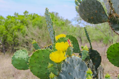  in Hondo TX 0000 County Road 341 1.jpg