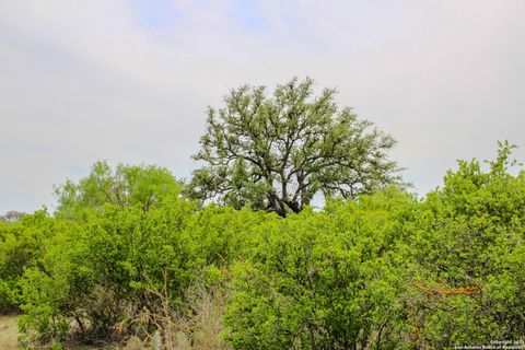  in Hondo TX 0000 County Road 341 5.jpg