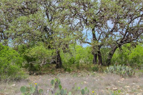  in Hondo TX 0000 County Road 341 3.jpg