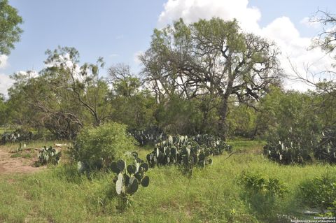  in Devine TX TBD Cr 662.jpg