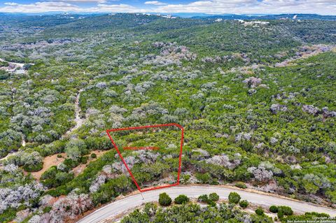  in Mico TX LOT 313 Pr 1745.jpg