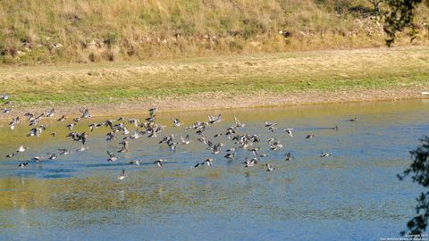  in Medina TX 1100 Stringtown Rd 23.jpg