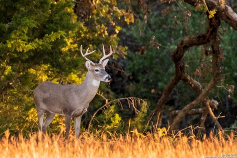  in Medina TX 1100 Stringtown Rd 30.jpg
