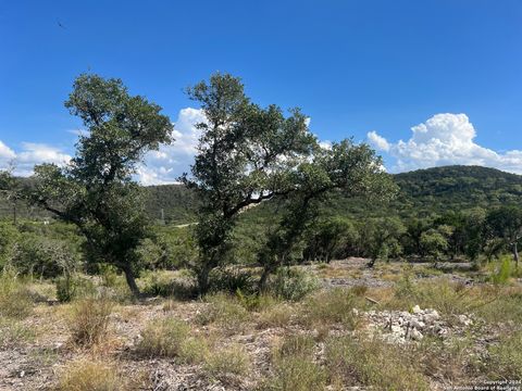  in Mico TX LOT 19 & 20 Pr 1707 12.jpg