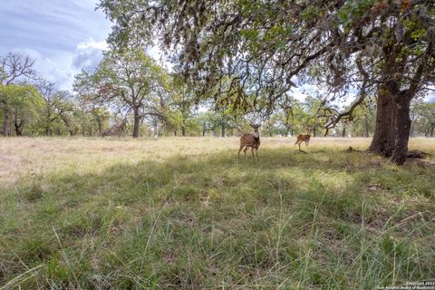 Farm in Medina TX 455 Hubble Ln 3.jpg