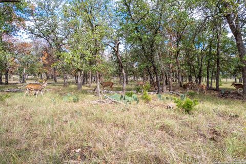 Farm in Medina TX 455 Hubble Ln 4.jpg