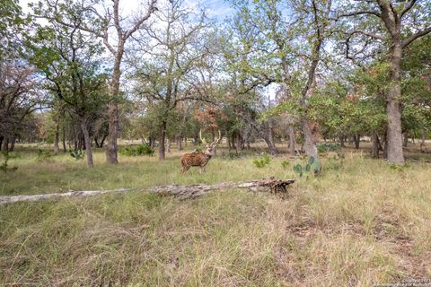 Farm in Medina TX 455 Hubble Ln 2.jpg