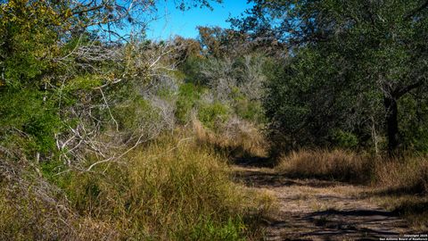  in Beeville TX 000 Private Road 4010 16.jpg