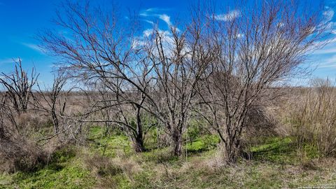  in Beeville TX 8485 Fm 673 12.jpg
