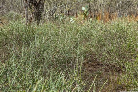  in Beeville TX 8485 Fm 673 9.jpg