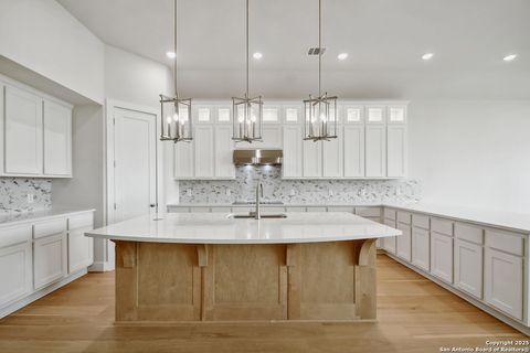 Single Family Residence in Castroville TX 325 Lacey Oak 2.jpg