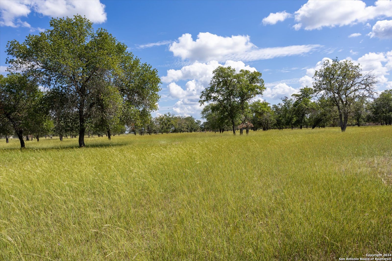 Single Family Residence in Medina TX 1158 Orchard Park Blvd 47.jpg