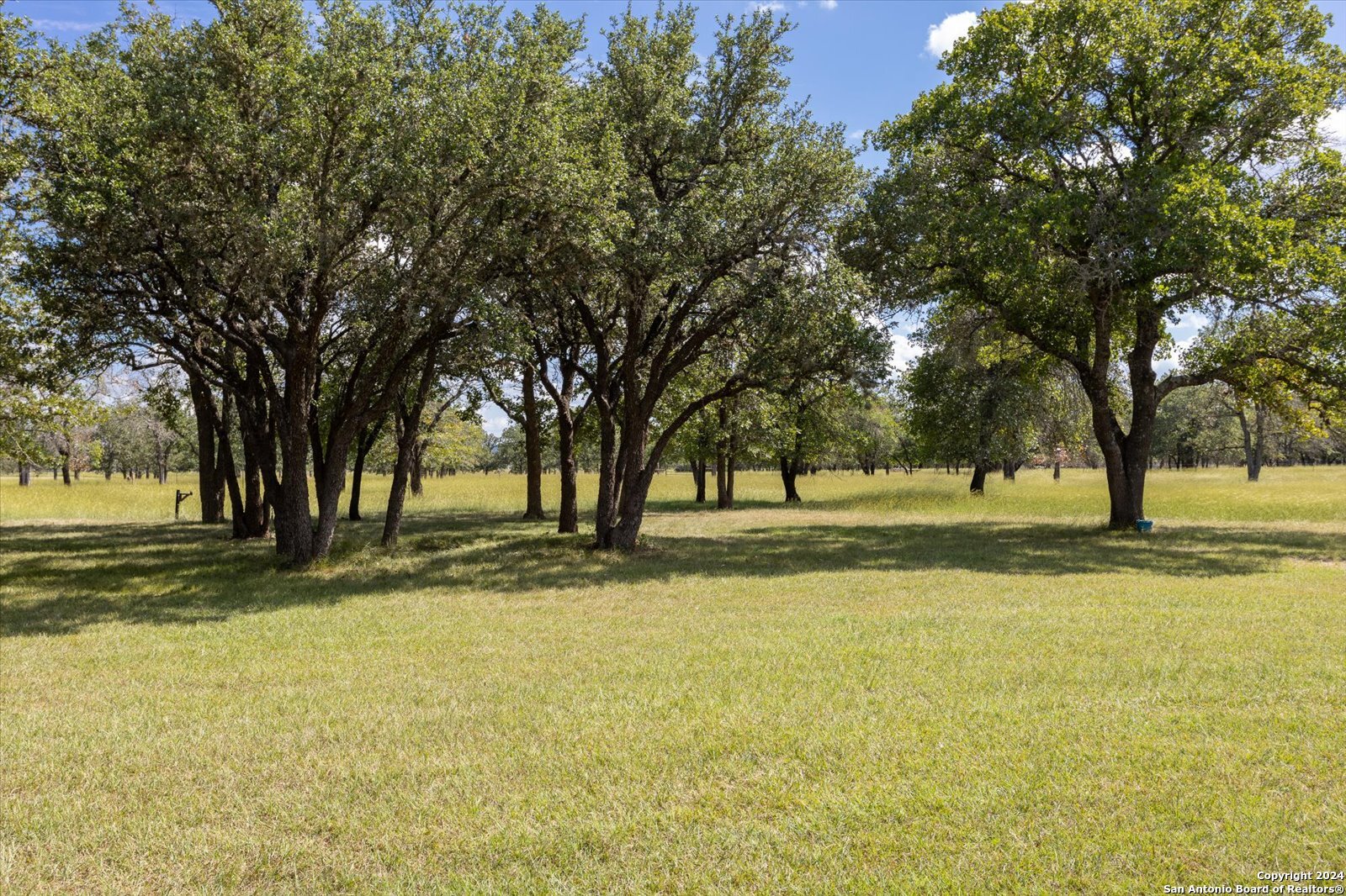 Single Family Residence in Medina TX 1158 Orchard Park Blvd 56.jpg