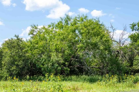  in Beeville TX 000 Cr 405 14.jpg