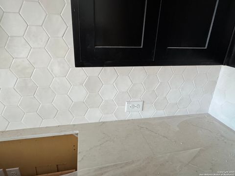 Single Family Residence in Castroville TX 193 Mountain Oak 5.jpg