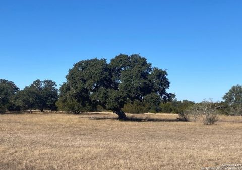  in Bandera TX LOT 486 Buckskin.jpg