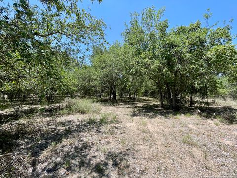  in Beeville TX TRACT 4 West King Lane 4.jpg