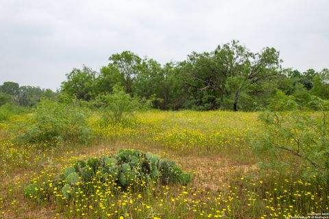 Farm in Atascosa TX 00 Shepherd 18.jpg