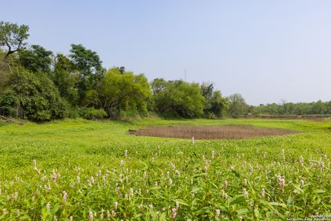 Farm in Atascosa TX 00 Shepherd 9.jpg